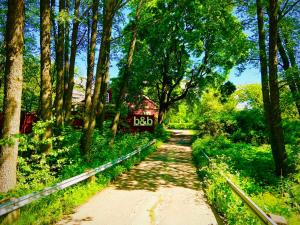 a dirt road through a forest with trees at Solakoop B&B in Karlstad