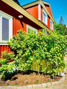 Aed väljaspool majutusasutust Solakoop B&B