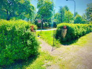 Aed väljaspool majutusasutust Solakoop B&B