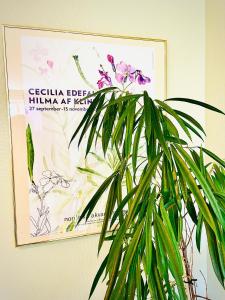 Foto Karlstadis asuva majutusasutuse Solakoop B&B galeriist