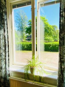Aed väljaspool majutusasutust Solakoop B&B