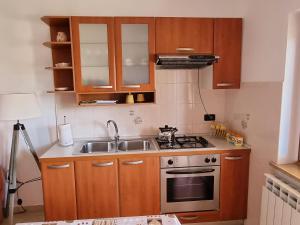 Kuchyň nebo kuchyňský kout v ubytování N&G Apartments