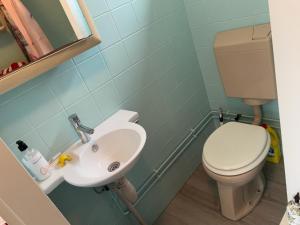 a bathroom with a toilet and a sink at The Outpost Lakehouse- enjoy our house at Reeuwijkse Plassen - near Gouda in Reeuwijk +37 photos