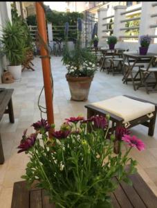 Fotografie z fotogalerie ubytování hotel lisà v destinaci Viareggio