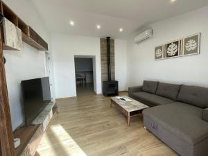 a living room with a couch and a tv at Apartamentos Turísticos La Teja in Arroyo del Ojanco
