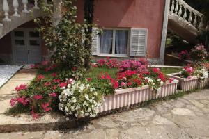 Zahrada ubytování Happy house Villa Žiži Rijeka Viskovo
