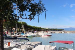 Un gruppo di barche ormeggiate in un porto. di Appartamento ROSY a Peschiera del Garda