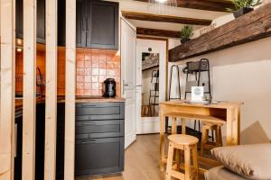 Η κουζίνα ή μικρή κουζίνα στο Le Cocooning - Small studio of 20 square meter in the heart of Annecy +20 φωτογραφίες