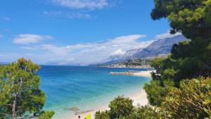 a view of a beach with blue water and trees at Vila Maslina Apartments mit Pool und Garten nahe am Strand in Tučepi