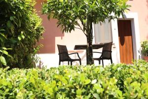 A garden outside Villa Rosada