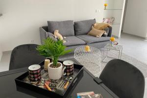 a living room with two chairs and a couch at Le Sunshine - Terrasse et clim in Nîmes +12 photos