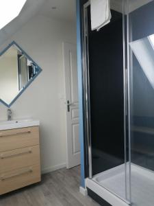 a bathroom with a shower and a sink at Albatros House Fort-Mahon-Plage in Fort-Mahon-Plage