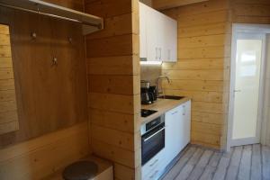 Kuchyňa alebo kuchynka v ubytovaní Tauern Appartements