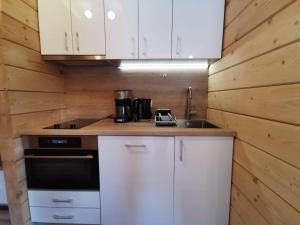 Kuchyňa alebo kuchynka v ubytovaní Tauern Appartements
