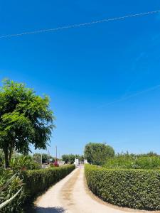 Fotografie z fotogalerie ubytování B&B Nonno Ciccio v destinaci Monopoli