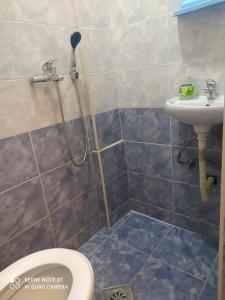 uma casa de banho com um chuveiro, um lavatório e um WC. em Apartment Chukov em Star Dojran