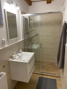 Kúpeľňa v ubytovaní Apartman Szanyi