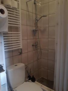 a bathroom with a shower with a toilet and a shower at Pas Ligita in Biržai
