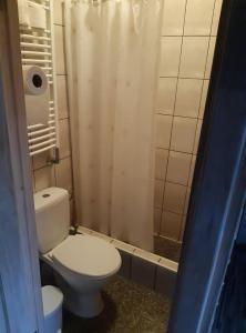 een kleine badkamer met een toilet en een douche bij Pas Ligita in Biržai