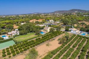 einen Luftblick auf ein Resort mit Bäumen und einem Pool in der Unterkunft Villa Citrinos by Villa Plus in Almancil