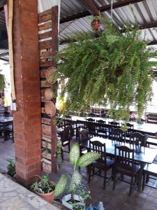 uma sala de jantar com mesas, cadeiras e plantas em HOTEL EL ALMENDRO em Copán