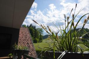 Gallery image of Ferienwohnung Heidi in Leutschach