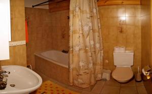 Koupelna v ubytování Haus Arolle, Bettmeralp + 6 fotografií