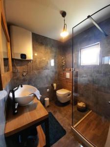 a bathroom with a sink and a shower and a toilet at Francesca Apartment in Bibinje +36 photos