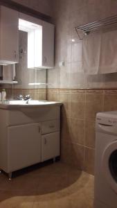 uma casa de banho com um lavatório e uma máquina de lavar roupa em Apartman Edina em Ohrid