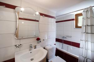 a bathroom with a sink and a toilet and a mirror at Delphinus Villa Nefeli in Agios Nikitas