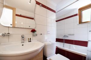 a bathroom with a sink and a toilet and a mirror at Delphinus Villa Nefeli in Agios Nikitas