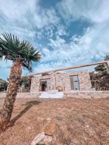 une maison en pierre avec un palmier en face de celle-ci dans l'établissement Stone built house next to the beach, à Amoliani