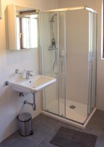 een badkamer met een wastafel en een douche bij Ljupka in Graberje Ivanićko