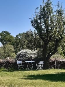 a table and two chairs under a tree in a field at Ferienwohnung Wald und Weitblick in Dreschvitz
