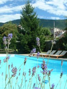 בריכת השחייה שנמצאת ב-Logis Hôtel Restaurant Le Castel Fleuri או באזור