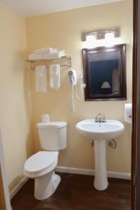 La salle de bains est pourvue de toilettes, d'un lavabo et d'un miroir. dans l'établissement Frankenmuth Motel, à Frankenmuth