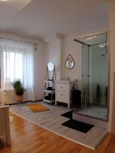 baño con ducha de cristal y escritorio. en Ferienwohnung Familie Rauch, en Feldkirchen in Kärnten