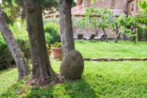Fotografia z galérie ubytovania Il Giardino del Cardinale - Deb'S Monticchiello v destinácii Monticchiello