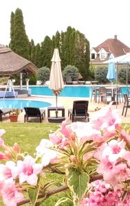 The swimming pool at or close to Helena Stúdió Apartman