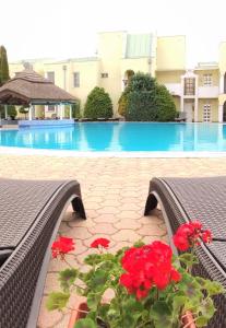 The swimming pool at or close to Helena Stúdió Apartman