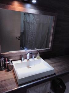 a bathroom with a white sink and a mirror at Bienvenidos a mi casa in Chajarí