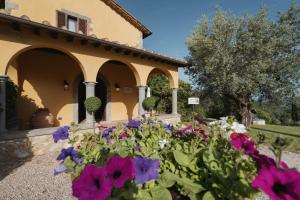 Kép Terenzi Hospitality & Wine szállásáról Scansanóban a galériában