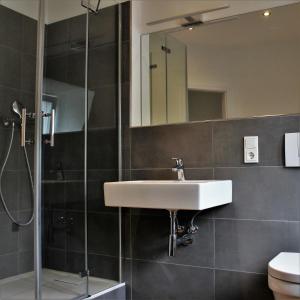 ein Bad mit einem Waschbecken und einer Dusche in der Unterkunft Villa Schlossblick in Wernigerode
