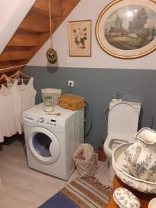 uma casa de banho com uma máquina de lavar roupa e um WC em Maison authentique en pierre apparente en montagne dans le c antal em Thiézac