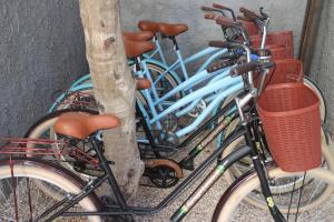 Jízda na kole v ubytování Little Gem Hotel Tulum La Veleta nebo okolí