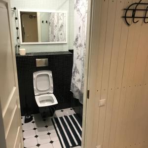 a small bathroom with a toilet and a mirror at Airport apartment in Saint Petersburg