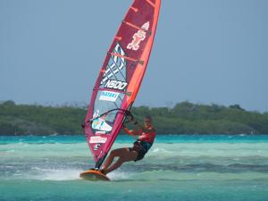 Gallery image of ChuChubi Studio Apartment Bonaire in Kralendijk