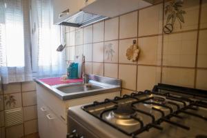 a kitchen with a stove and a sink at FLY HOUSE BOLOGNA...un appartamento al volo in Bologna