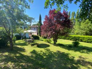 Un jardín con una mesa de picnic y un árbol. en Casa antica toscana, en San Casciano in Val di Pesa