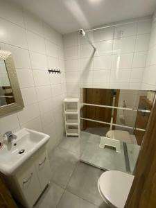 a bathroom with a sink and a shower and a toilet at Aparth27 Okuninka Jezioro Białe in Okuninka
